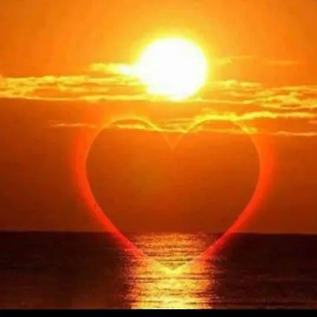 Rainbow 2 Complex 3* Słoneczny Brzeg