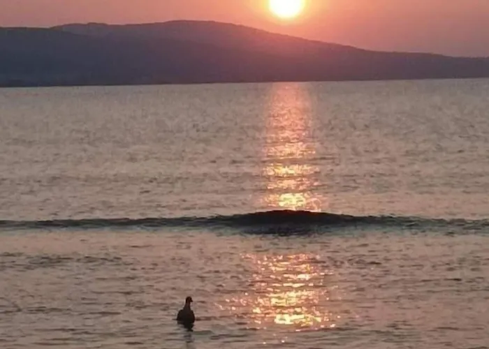 Rainbow 2 Complex サニービーチ